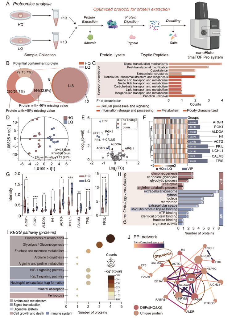 1861254734468993024-quantitative-proteomics-analysis-service2.PNG