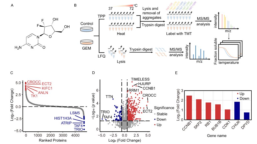 1861254896570454016-quantitative-proteomics-analysis-service3.PNG