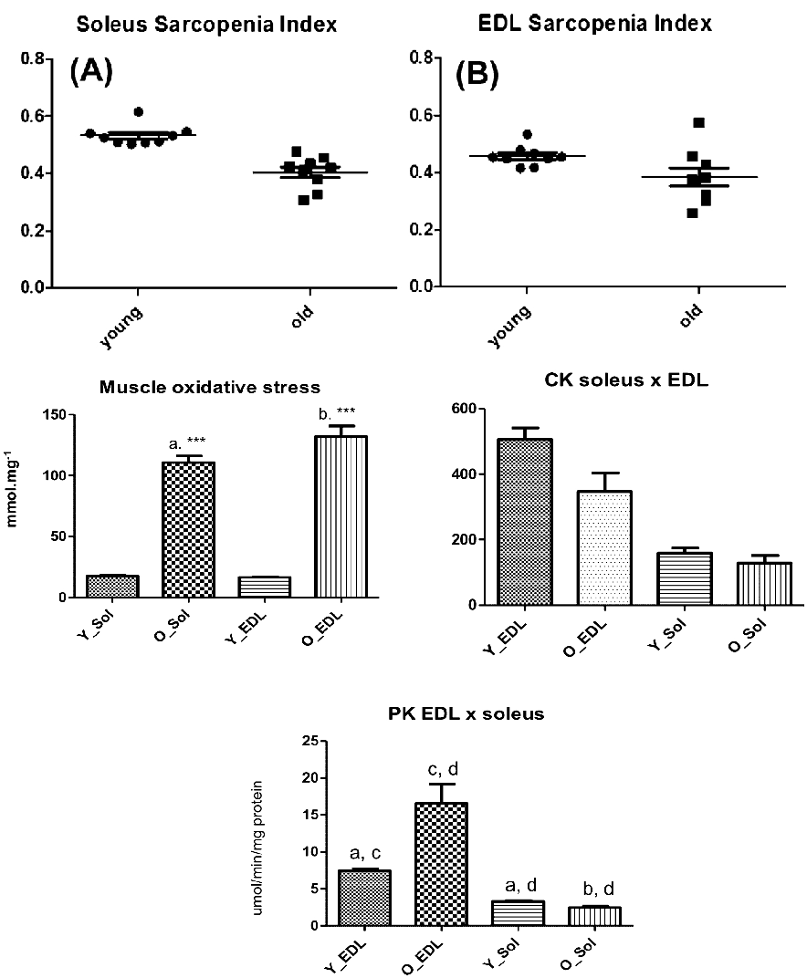 1861287472345501696-tmt-labelling-proteomics-service4.png