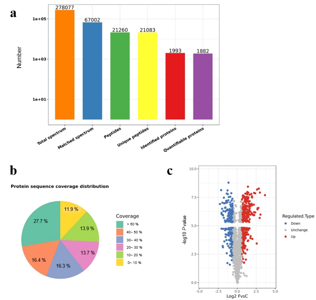 1861287519913103360-tmt-labelling-proteomics-service5.png