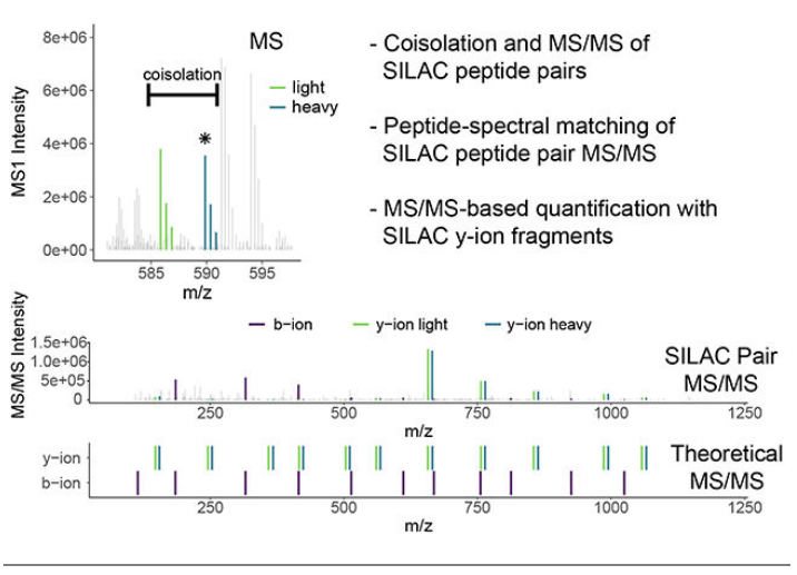 1859473934224314368-mass-spectrometry-identification-service3.PNG