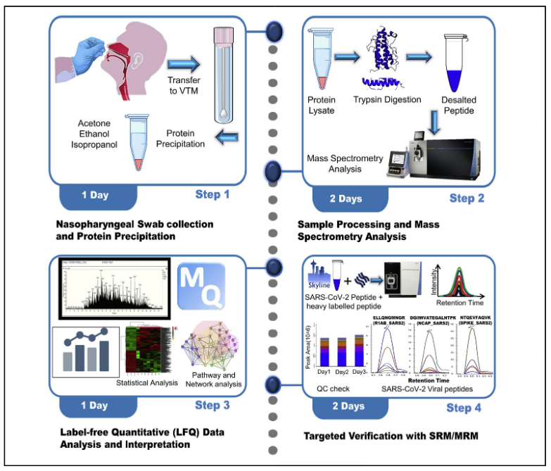 1859479332771713024-mass-spec-protein-identification-service2.PNG