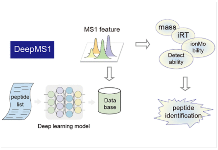 1859479429521723392-mass-spec-protein-identification-service3.PNG