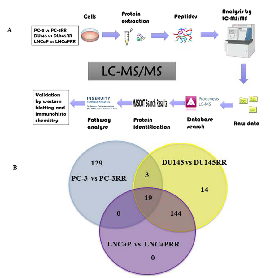 1859479633683664896-mass-spec-protein-identification-service5.PNG