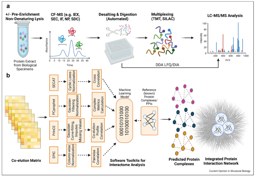 1859885162184691712-mass-spec-protein-analysis-service6.PNG