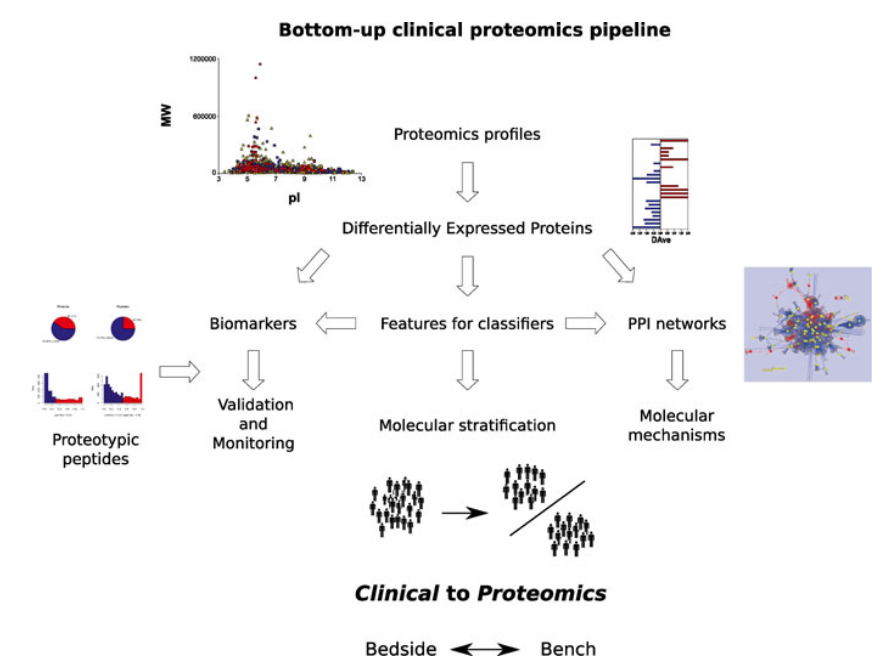 1861694889440956416-bottom-up-proteomics-service2.PNG