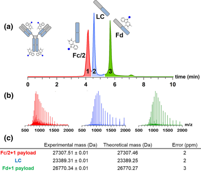 1863427469972418560-mass-spectrometry-identification-service4.png