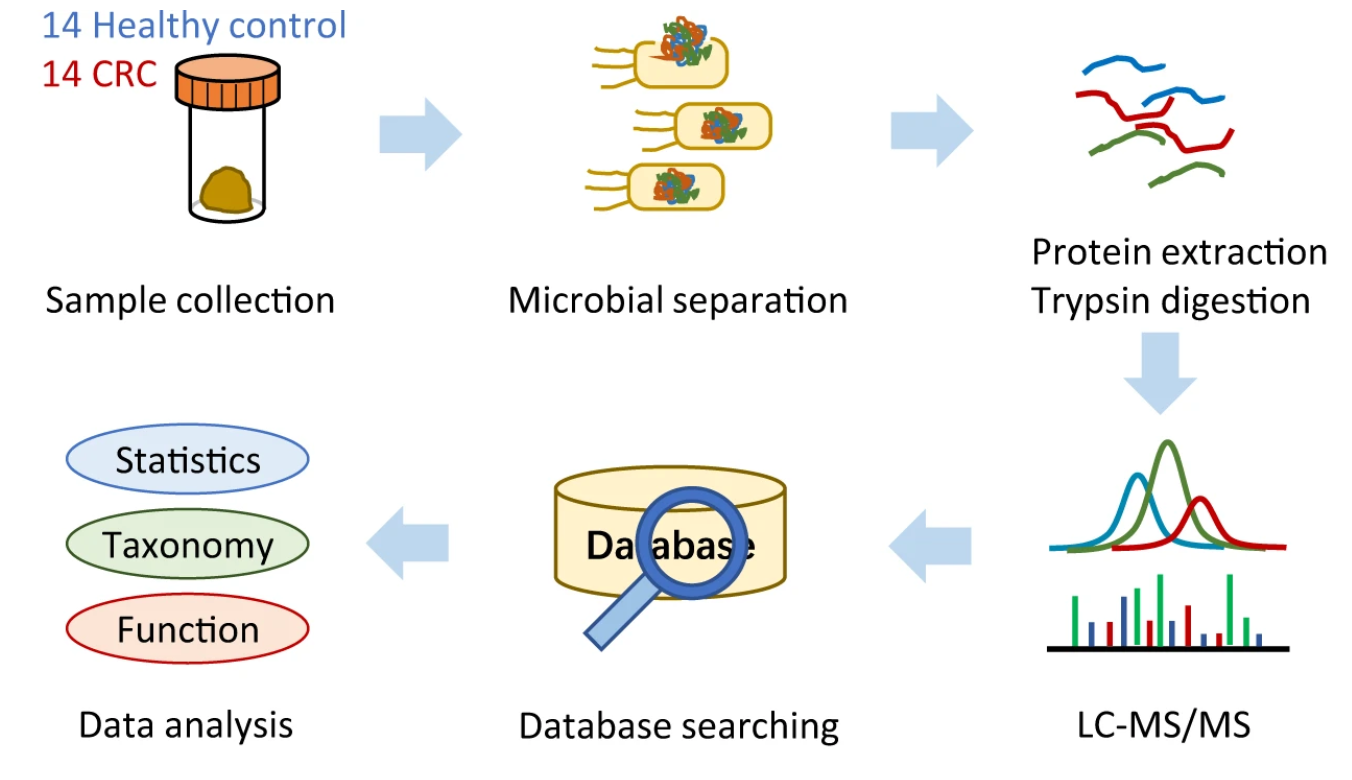 1862409484287725568-metaproteomics-service1.png