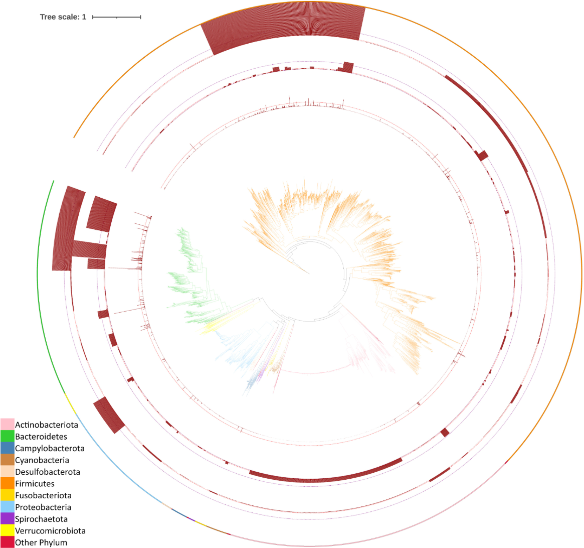 1862415552057298944-metaproteomics-service3.png