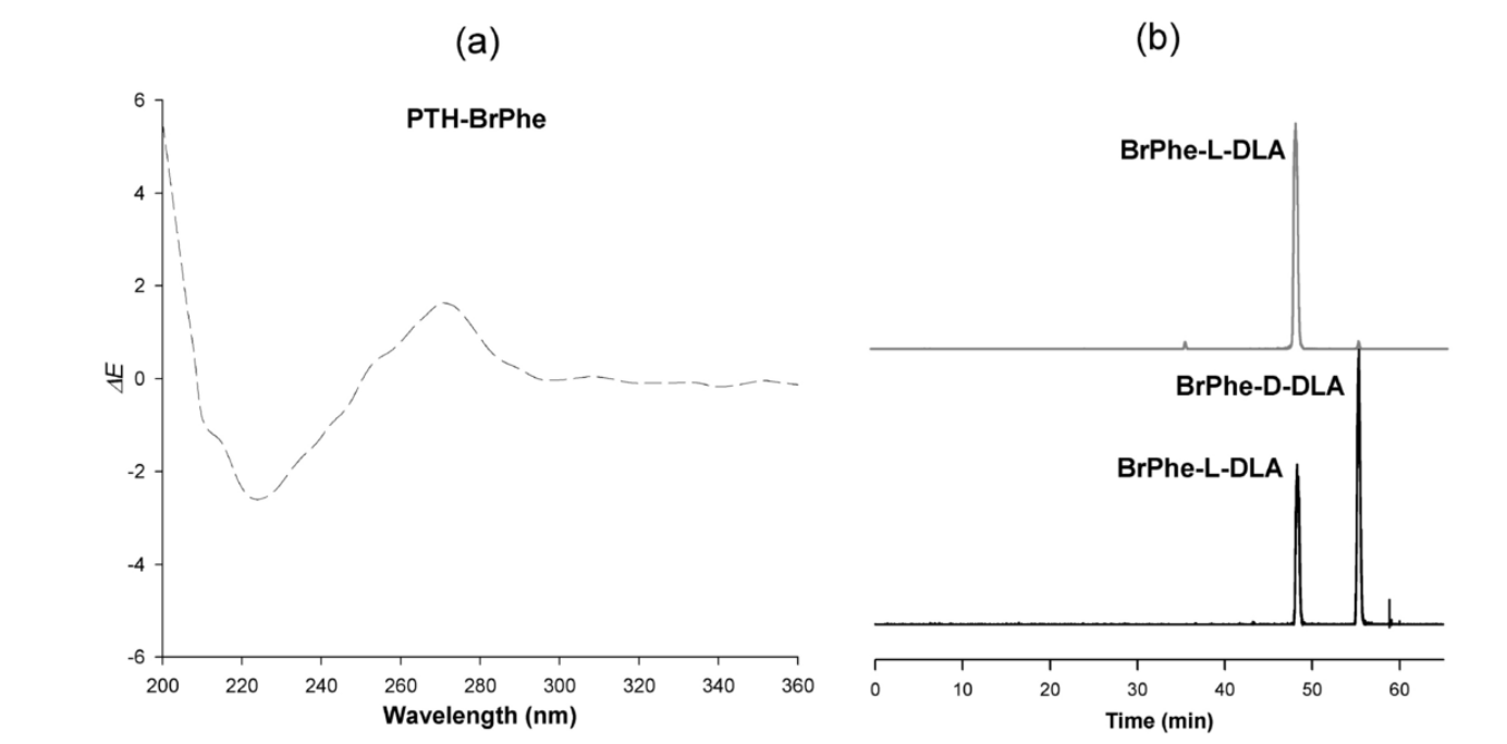 1862435908411314176-edman-sequencing-service2.png