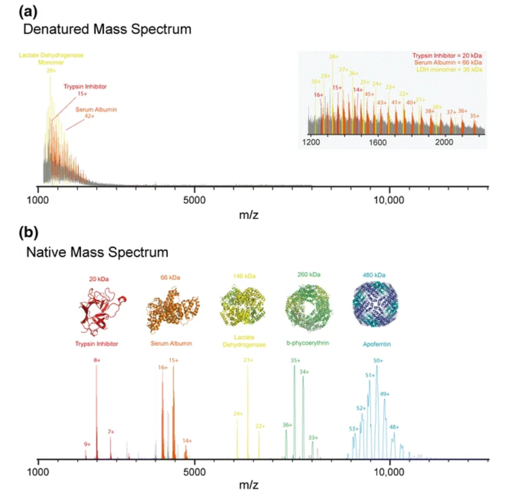 1863500704116232192-native-mass-spectrometry-service1.png