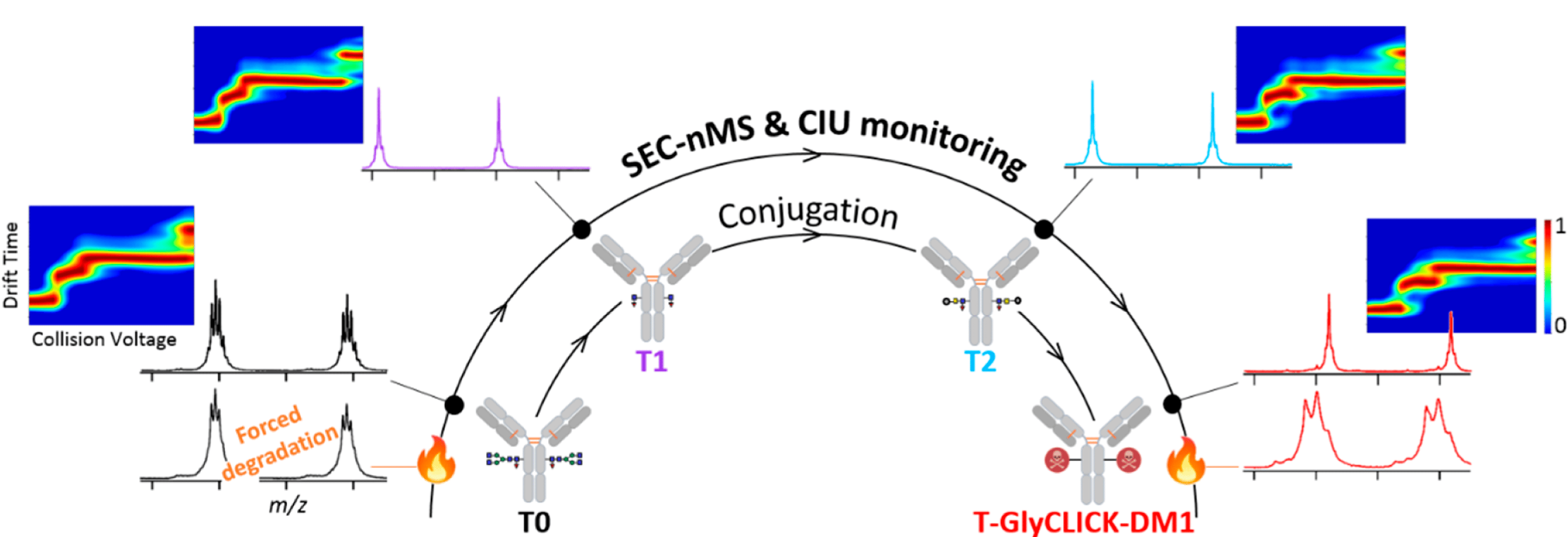 1863786702825967616-native-mass-spectrometry-service4.png