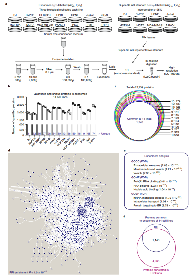 1864178559428931584-exosome-proteomics2.png