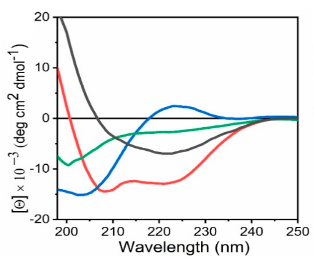 1864576196542058496-circular-dichroism-cd-spectroscopy-service3.png