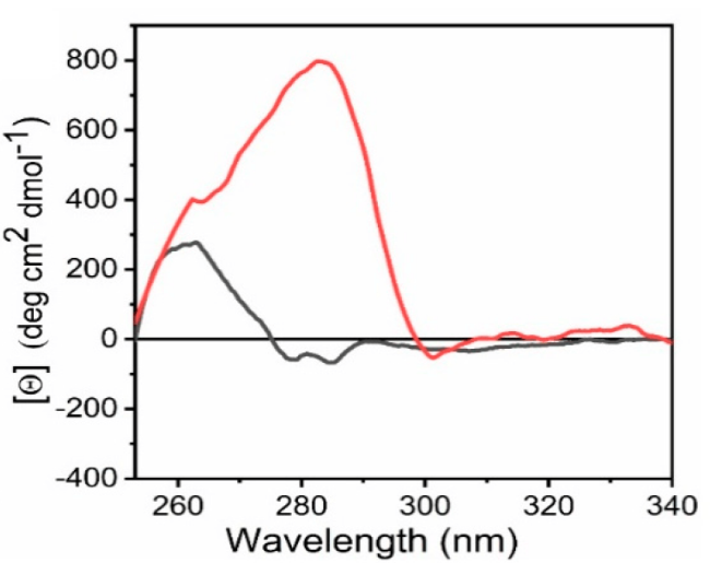 1864584553004912640-circular-dichroism-cd-spectroscopy-service4.png