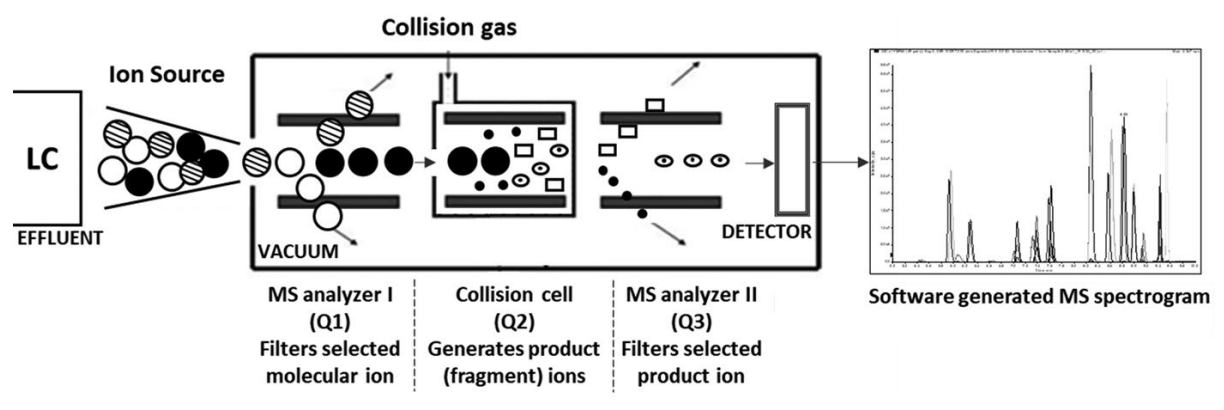 1864857709145870336-hplc-tandem-mass-spectrometry-service1.png