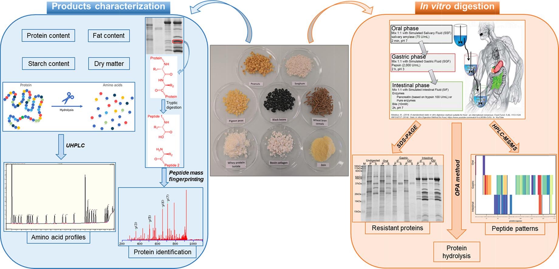 1864857799608619008-hplc-tandem-mass-spectrometry-service2.jpg