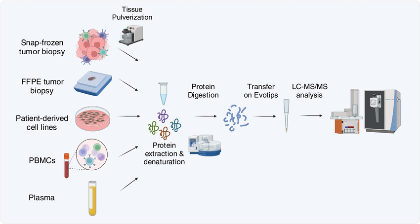 1864861166892339200-liquid-chromatography-tandem-mass-spectrometry-service2.png