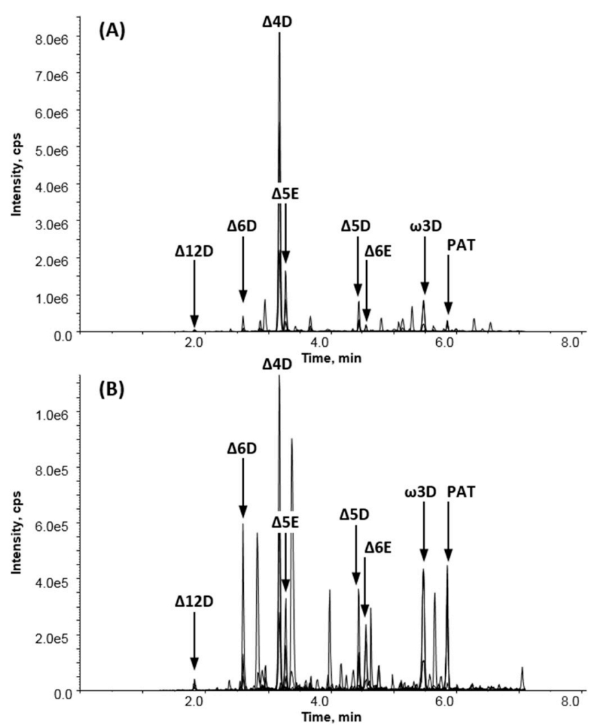 1864863752735281152-quantitative-mass-spectrometry-service2.png