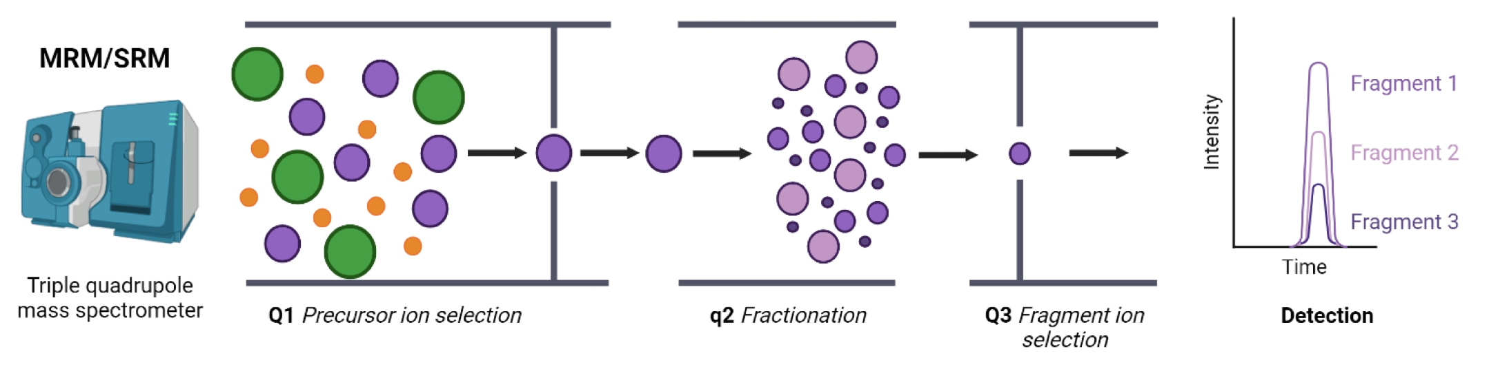 1864950822535286784-multiple-reaction-monitoring-analysis-service1.jpg