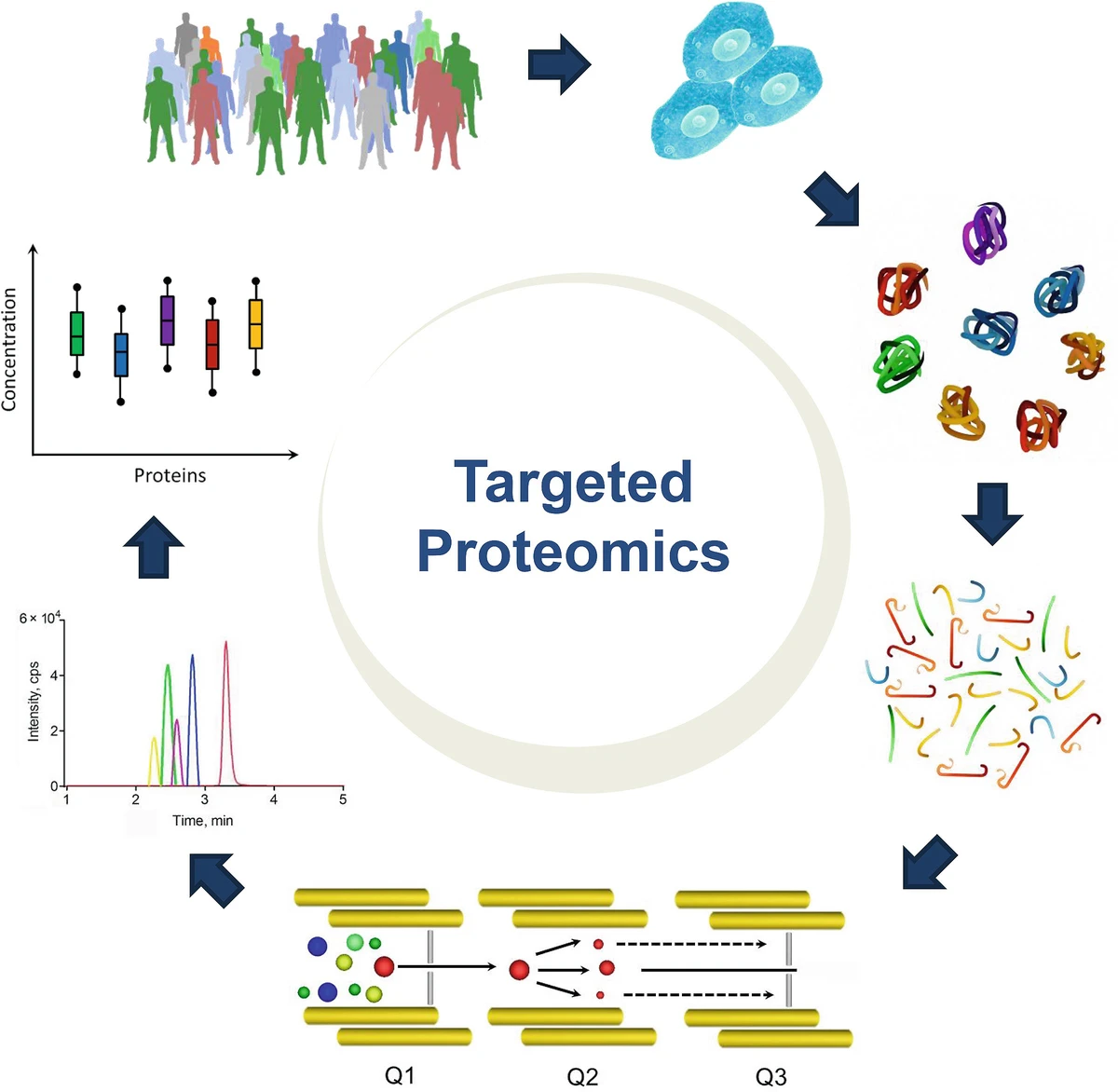 1866052508135796736-targeted-proteomics-service1.png