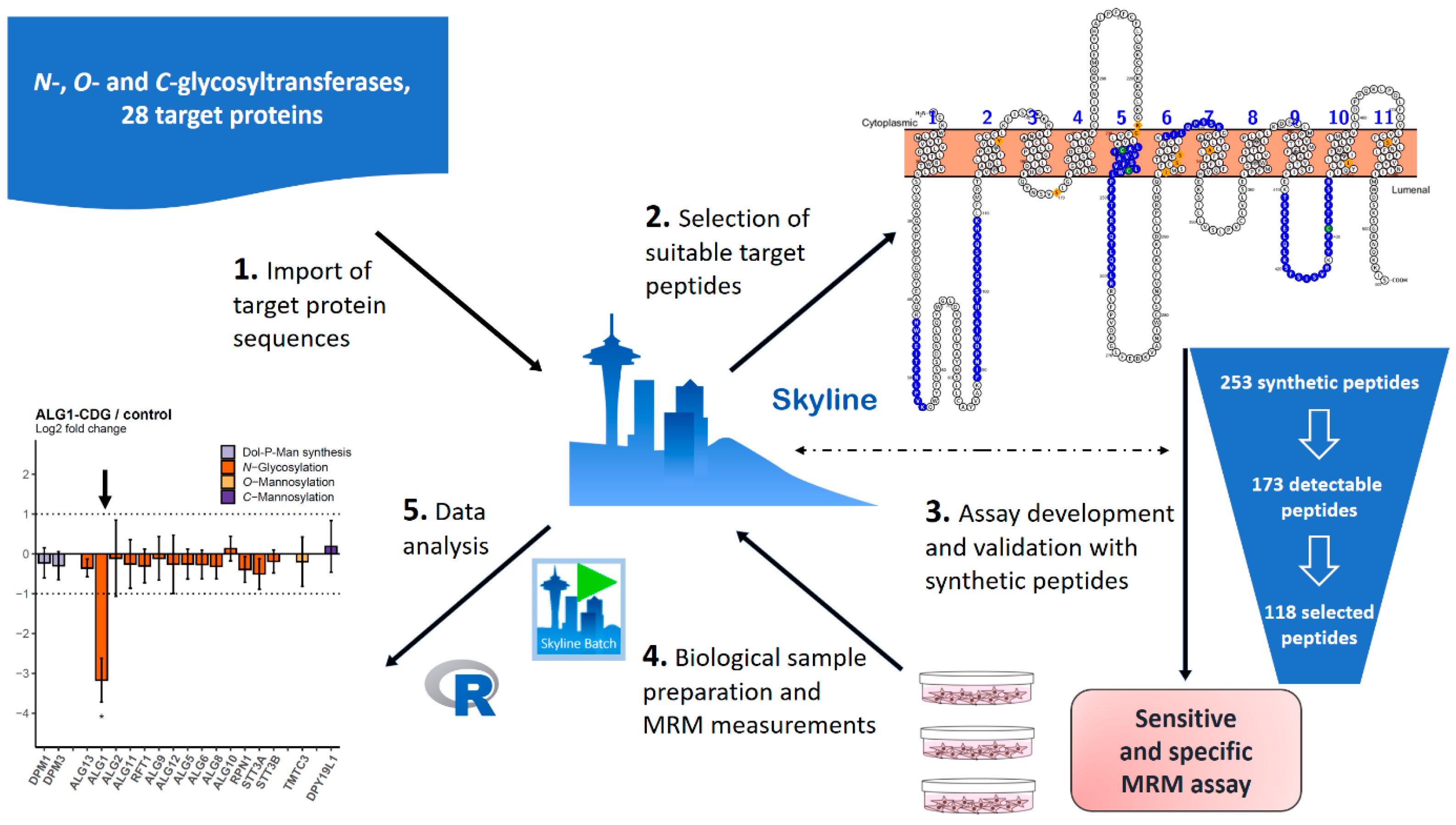 1866052924131061760-targeted-proteomics-service4.png