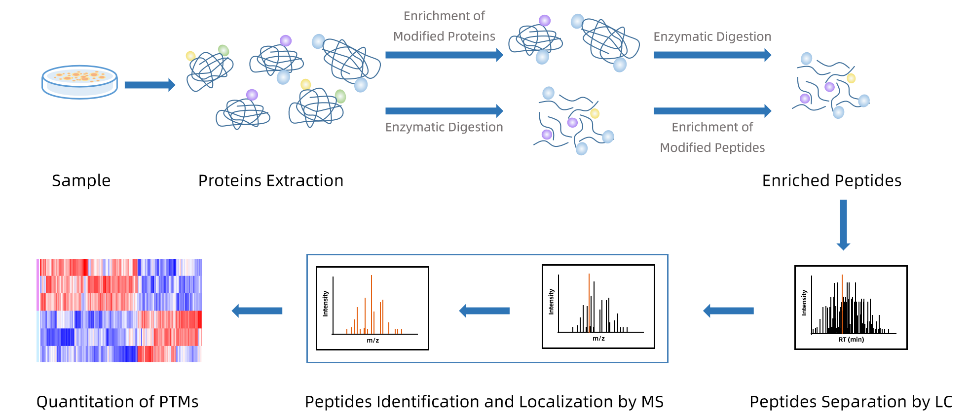 1866032253197996032-post-translational-modification-mass-spectrometry-service2.png