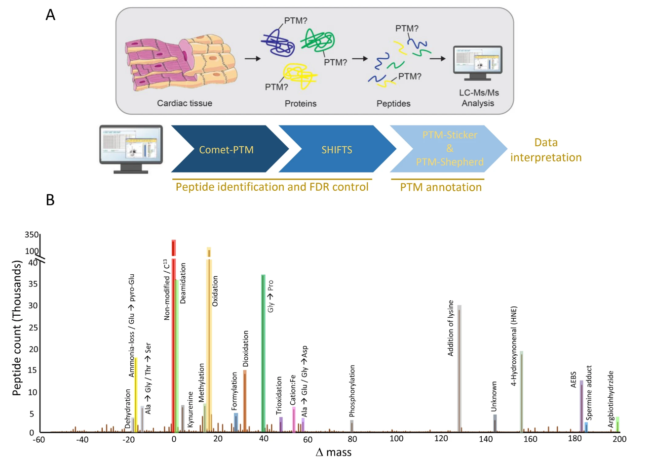 1866048163552022528-post-translational-modification-mass-spectrometry-service3.png
