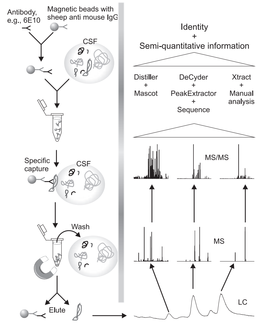 1866053456235188224-ip-mass-spectrometry-service1.png