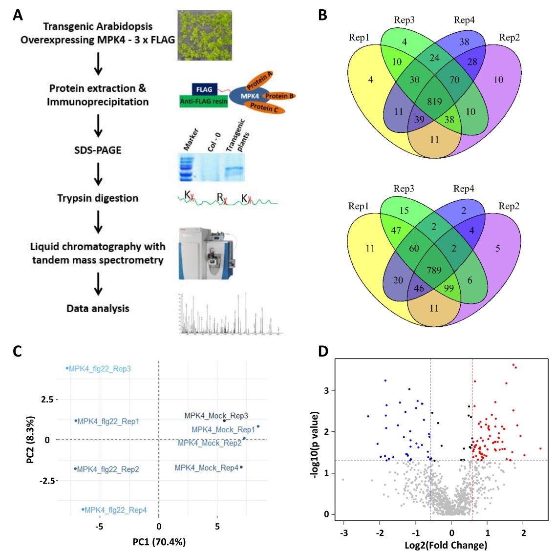 1866053809953427456-ip-mass-spectrometry-service2.png