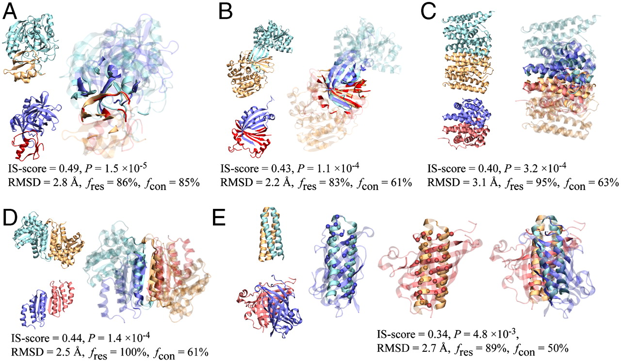 1866055162469666816-protein-protein-interaction-service1.jpeg