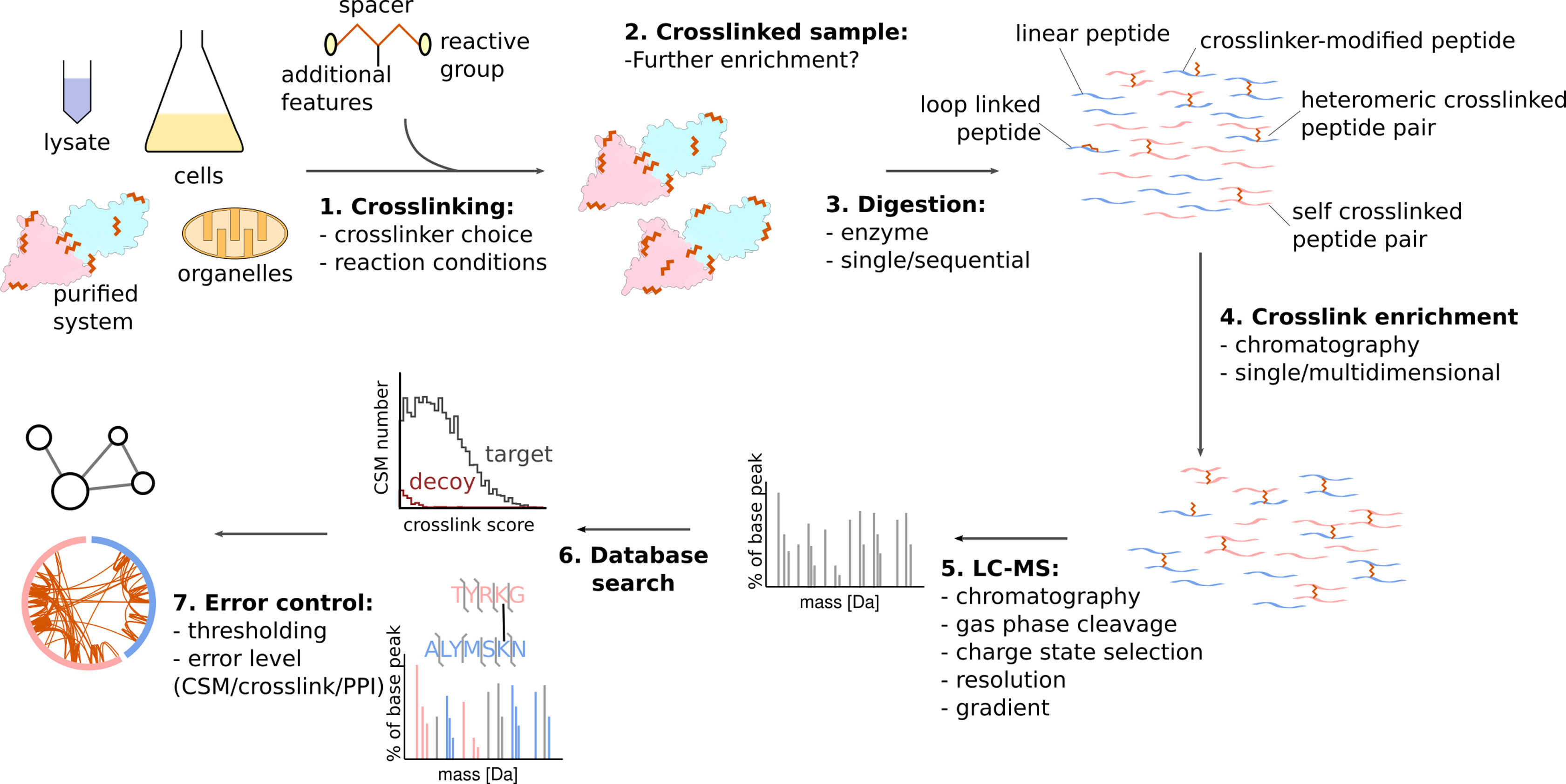 1866056398447169536-protein-protein-interaction-service3.jpg