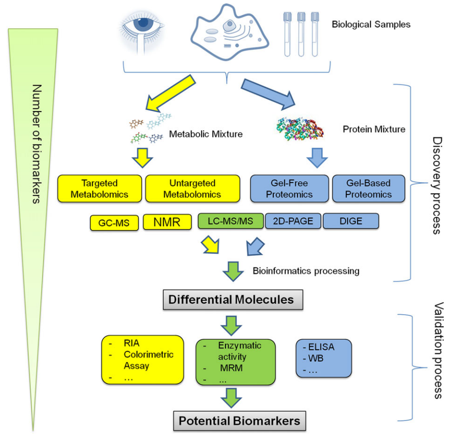 1865965568042586112-protein-biomarker-discovery-service1.PNG