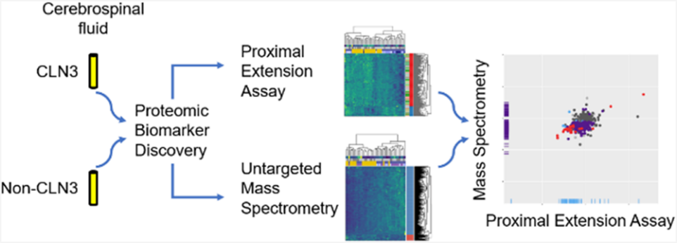 1865965661286158336-protein-biomarker-discovery-service2.PNG