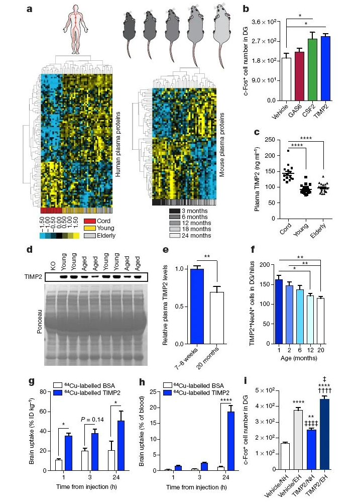 1866778202396545024-protein-microarray-analysis-service3.png