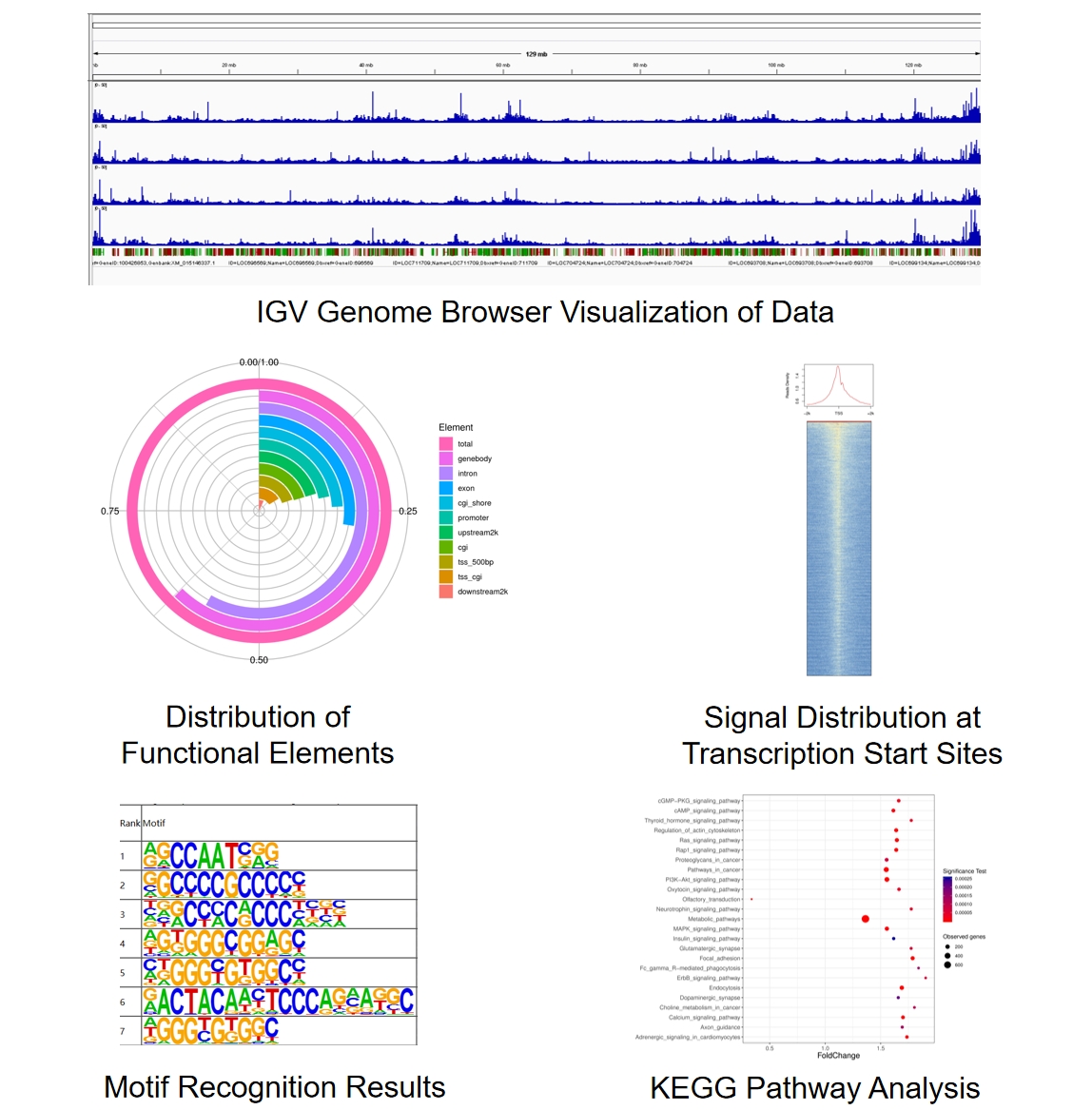 1867053110129184768-cut-tag-analysis-service5.jpg