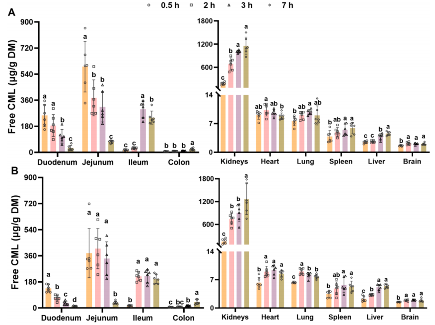 1867085464461758464-pharmacokinetics-analysis-service2.PNG