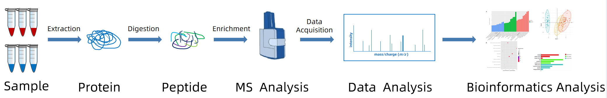 1867412536338010112-comparative-proteomics-service1.PNG