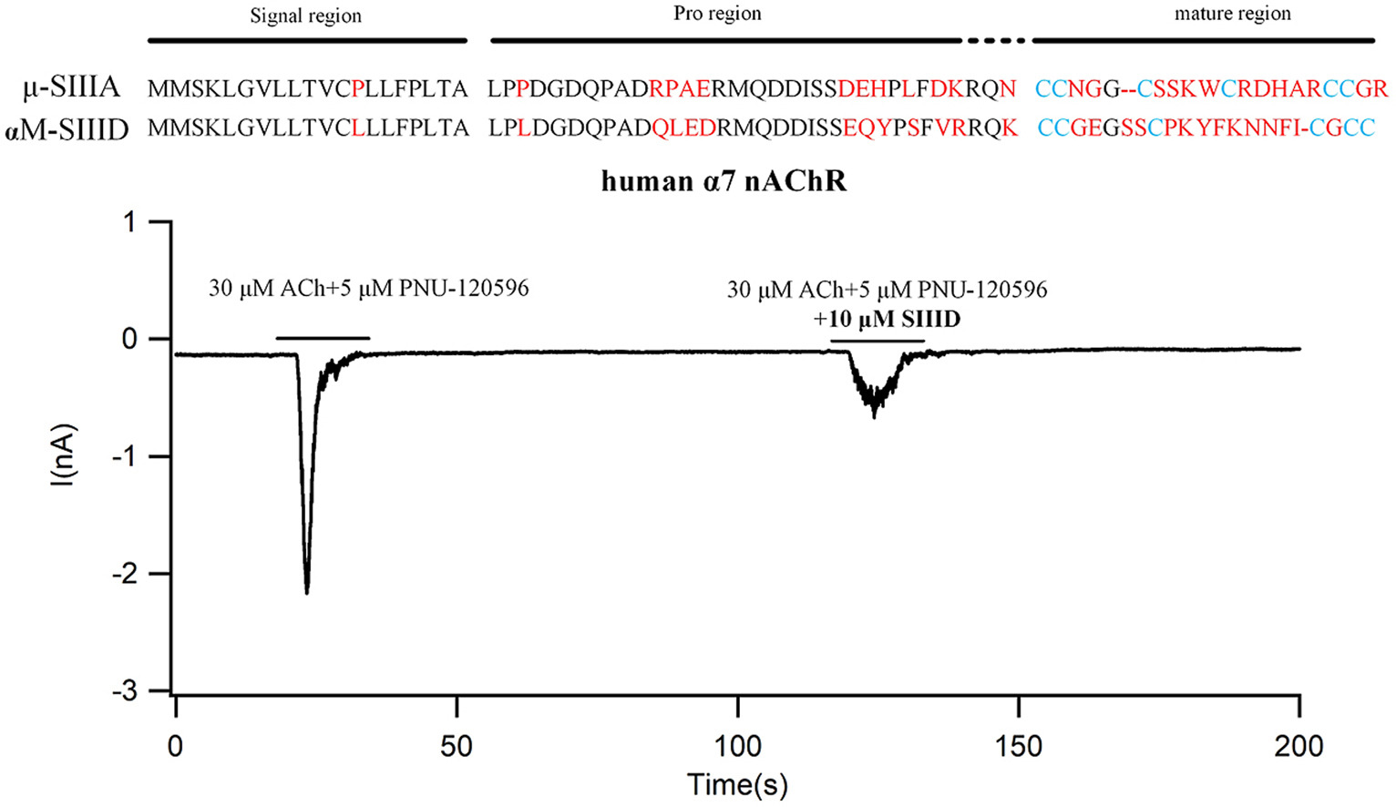 1867035429615292416-solid-phase-polypeptide-synthesis-service2.jpg