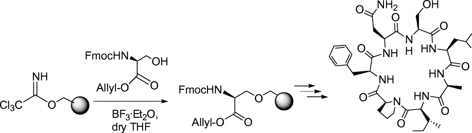 1867037047282847744-cyclic-peptide-synthesis-service1.gif