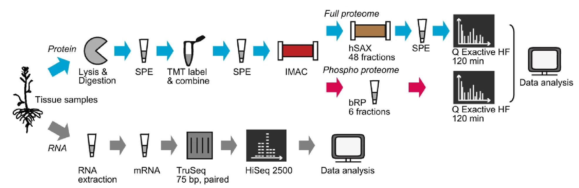 1868902737379971072-transcriptomics-and-proteomics-service2.png