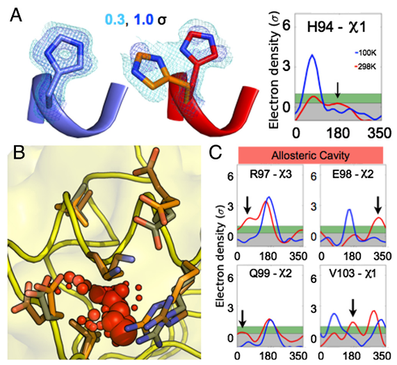 1869254301382725632-x-ray-crystallography-protein-structure-determination-service2.PNG