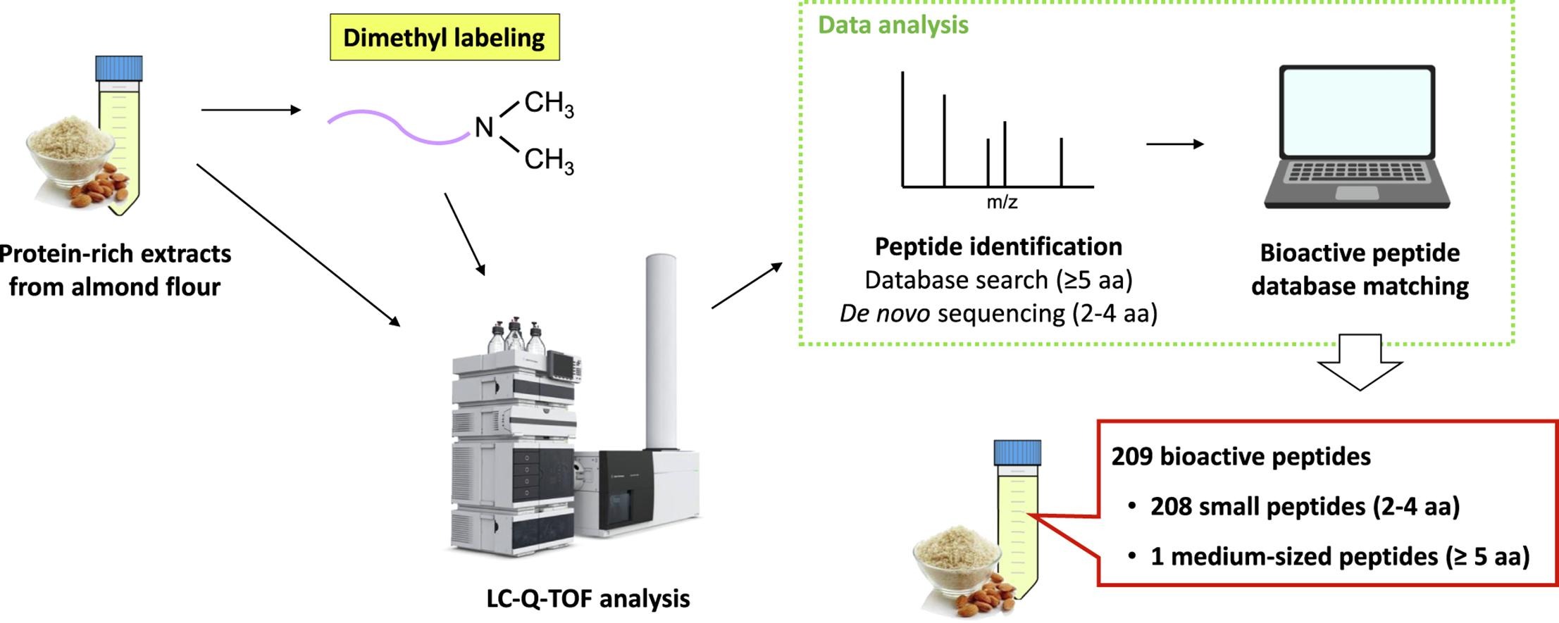 1869256329905385472-peptide-sequencing-service1.jpg