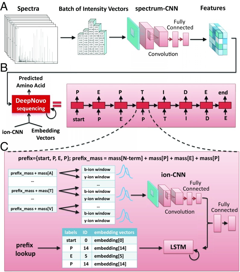 1869272707697815552-peptide-sequencing-service2.jpg