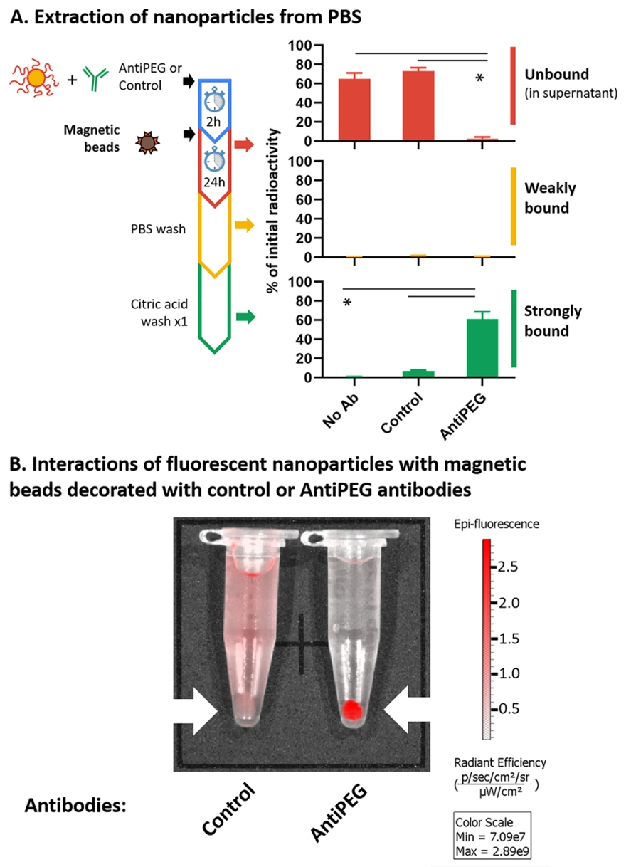 1869312266403958784-immunoprecipitation-analysis-service2.png