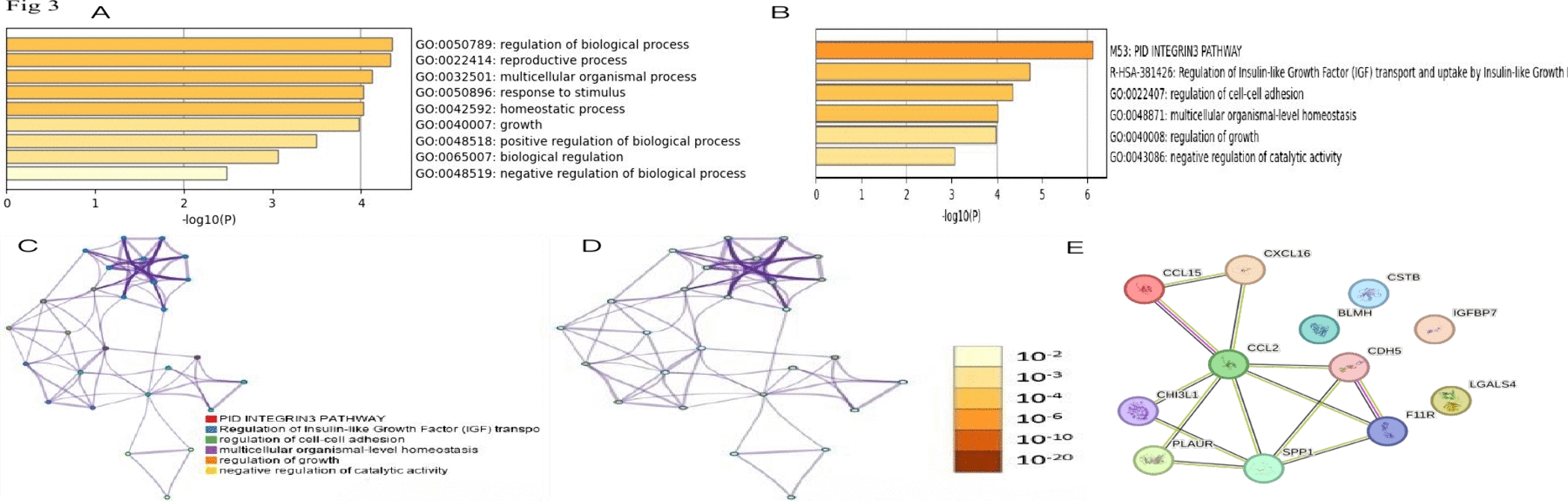 1869313928384335872-olink-proteomics-service4.jpg