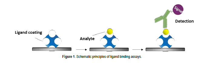 1869315718651695104-ligand-binding-assay-service1.png