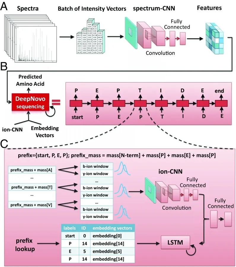 1869623639478489088-1869272707697815552-peptide-sequencing-service1-2.webp