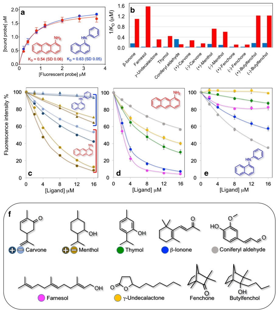 1869666867376410624-competitive-ligand-binding-assay-service1.png