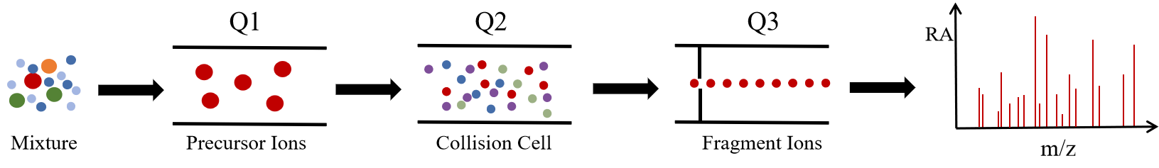 1869672057538203648-mrm-mass-spectrometry-service1.png